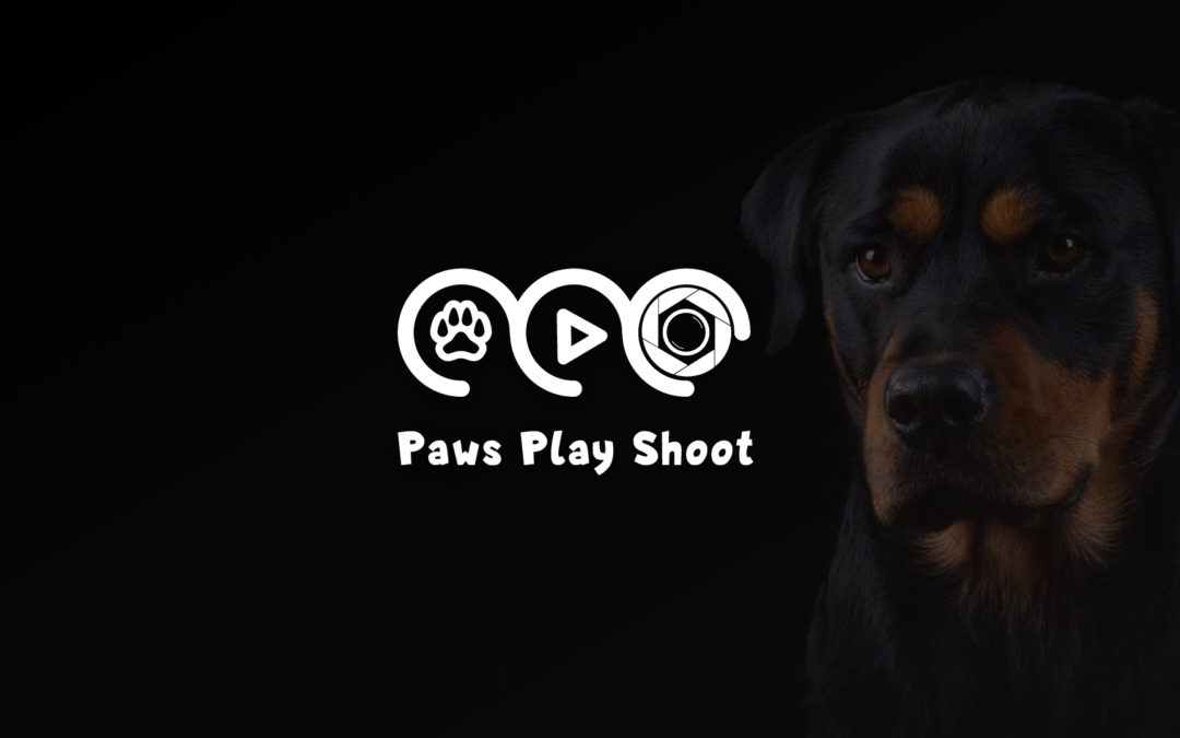 PAWS PLAY SHOOT