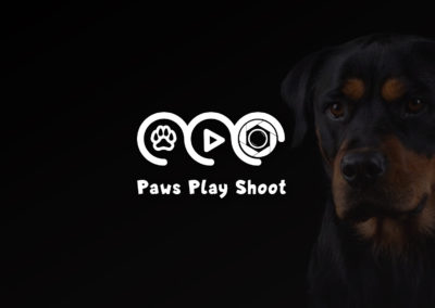 PAWS PLAY SHOOT